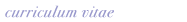 Curriculum Vitae